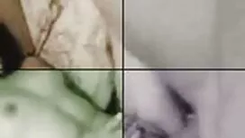 عزیزم شیرین با گربه  ...