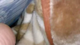 پس از بیدار شدن از د ...