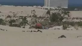 از اغراق ، شخص وارد  ...
