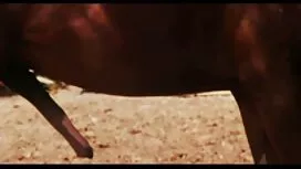 بلوند داغ توسط یک مر ...