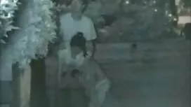 آچرون گربه هایش را ل ...