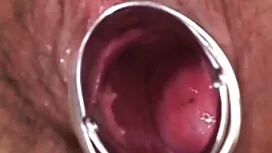 گربه با لباس یک دانل ...